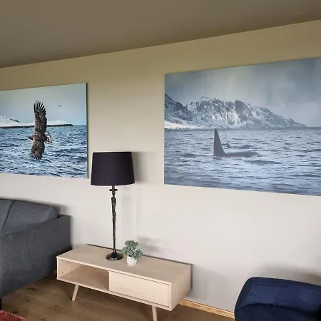 Walter Lofoten With Sauna Villa