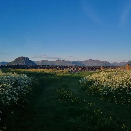 Walter Lofoten With Sauna *