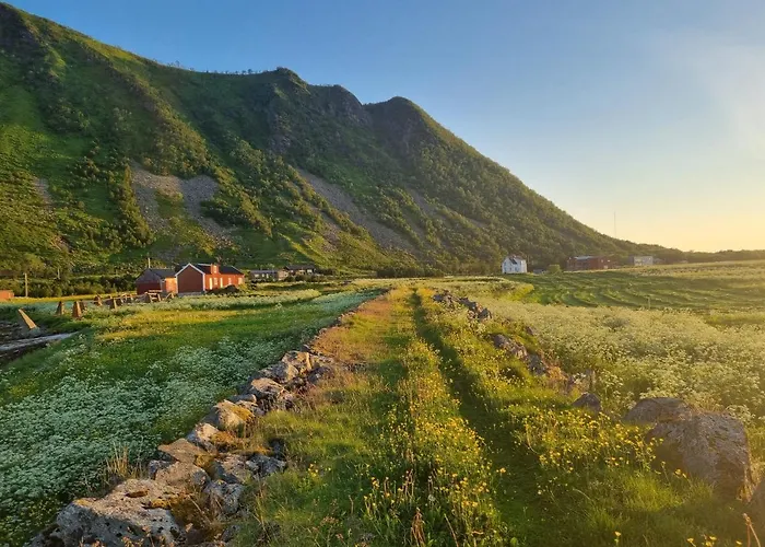 Walter Lofoten With Sauna