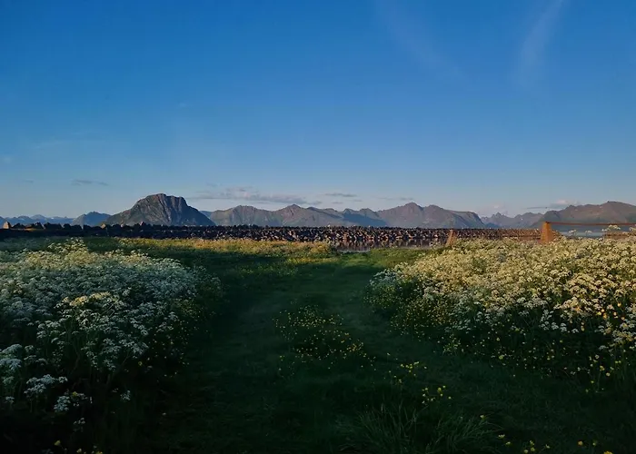 Walter Lofoten With Sauna *