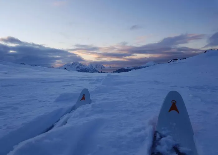 别墅 Walter Lofoten With Sauna Kvalnes (Vestvagoy)