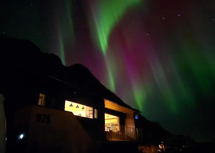 Walter Lofoten With Sauna