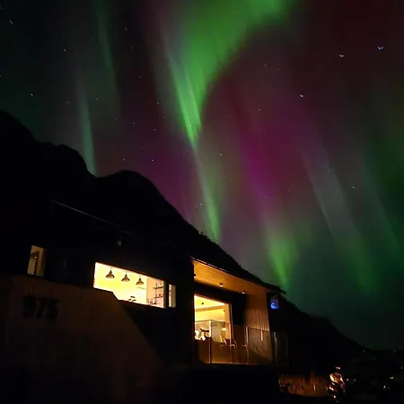 Walter Lofoten With Sauna